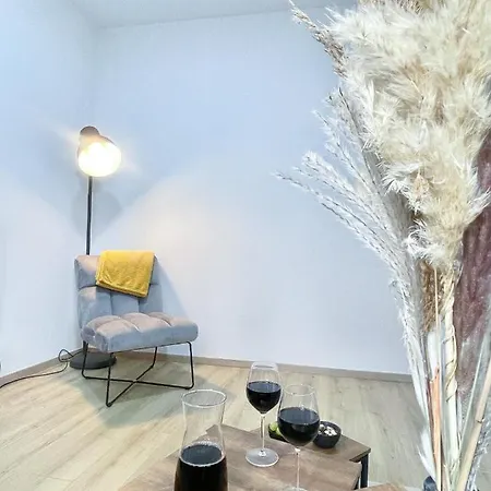 Ambiance Automobile, 100m2, De Gamme Apartment Mulhouse